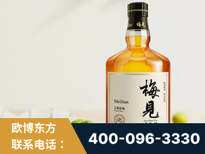 建瓯-梅见青梅酒